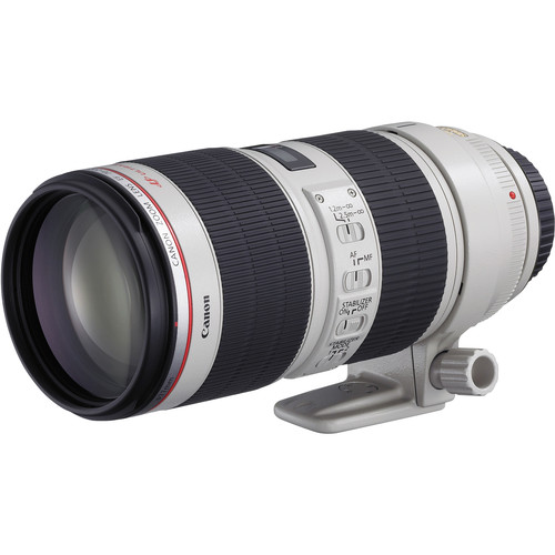 Lente de Zoom teleobjetivo para cámaras Canon, objetivo EF de 70-200mm,  f/4L, USM, solo