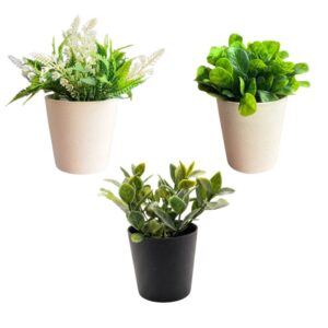 alquiler mobiliario mueble utileria planta plumas prop planta verde maceta plants renta rental prop cine lima peru e2 e2peru kita x3 pack set de plantas pequeñas